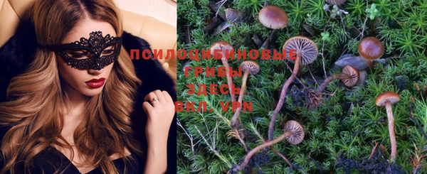 jwh Пересвет