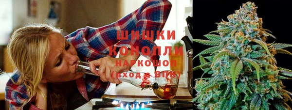 jwh Пересвет