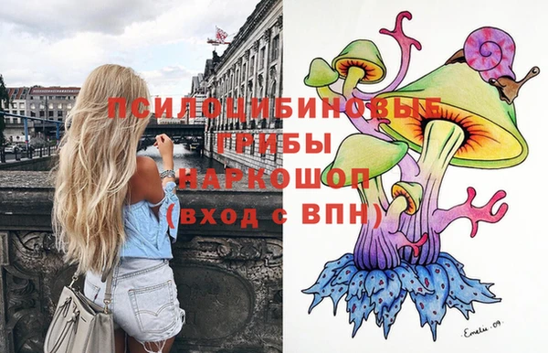 гидропоника Переславль-Залесский