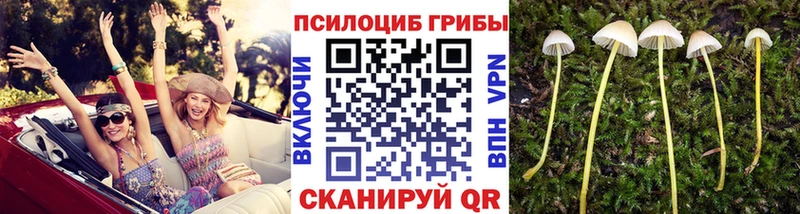 что такое наркотик  Урень  Галлюциногенные грибы мухоморы 